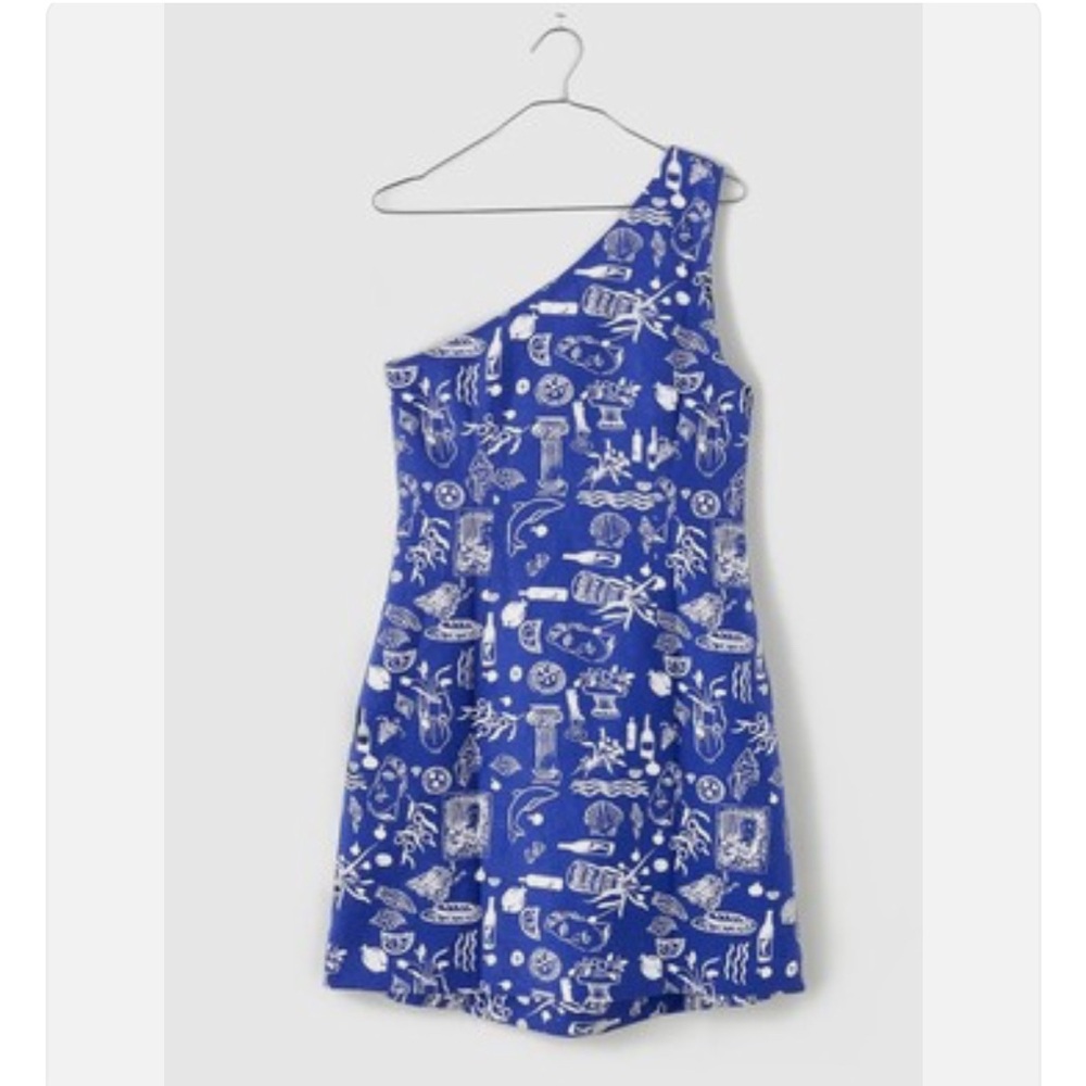 Madewell Blue and White Asymmetrical One Shoulder Dress